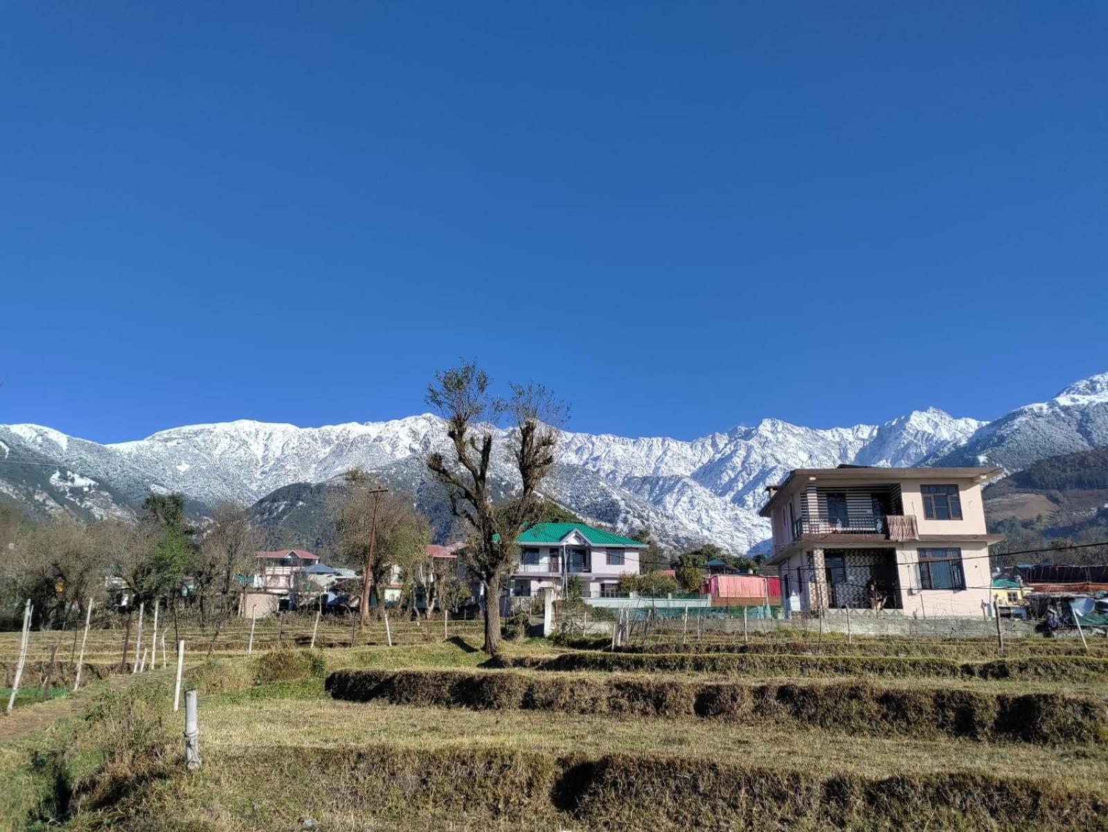 Homestay Palampur View Luaran gambar
