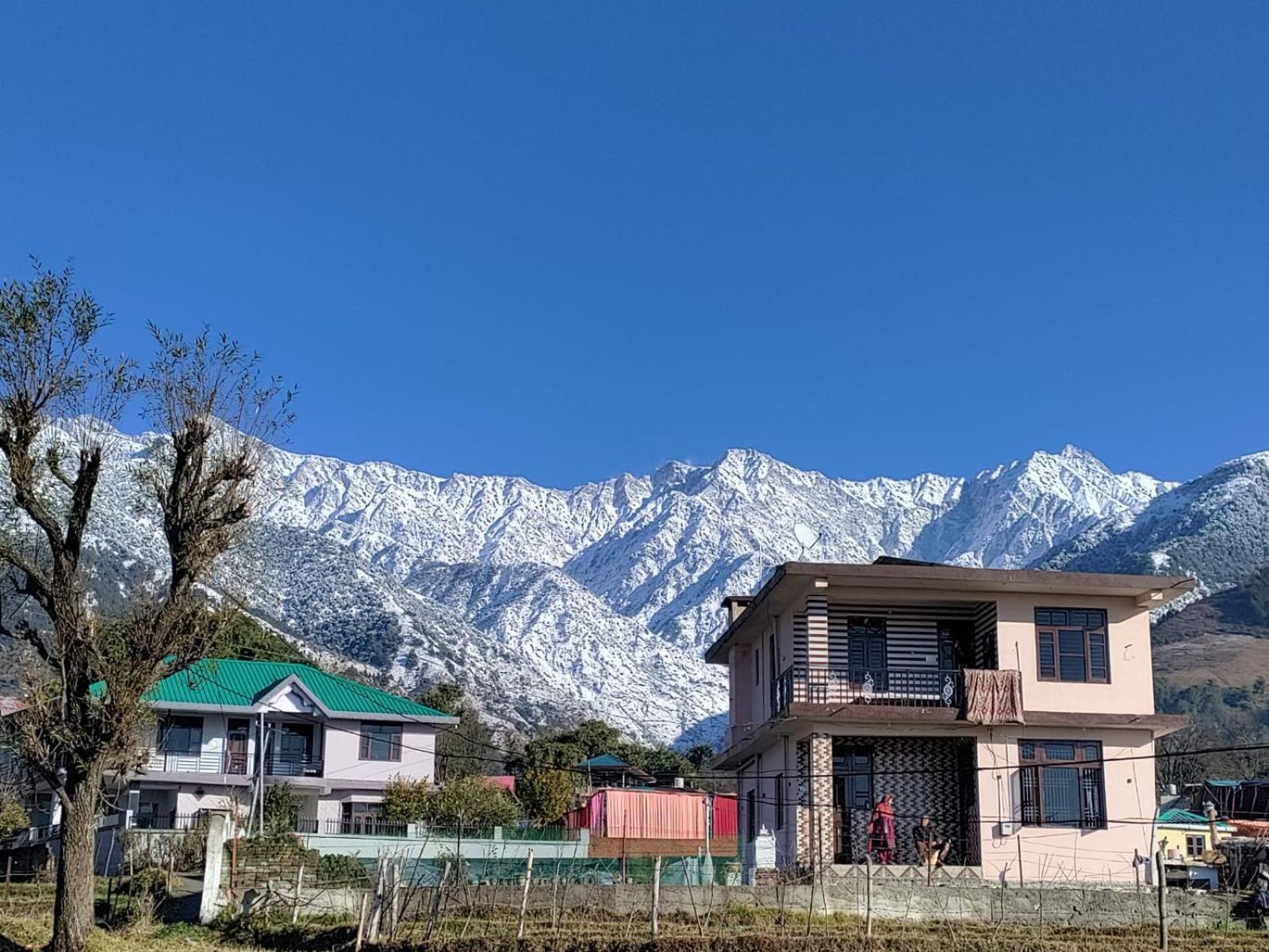Homestay Palampur View Luaran gambar