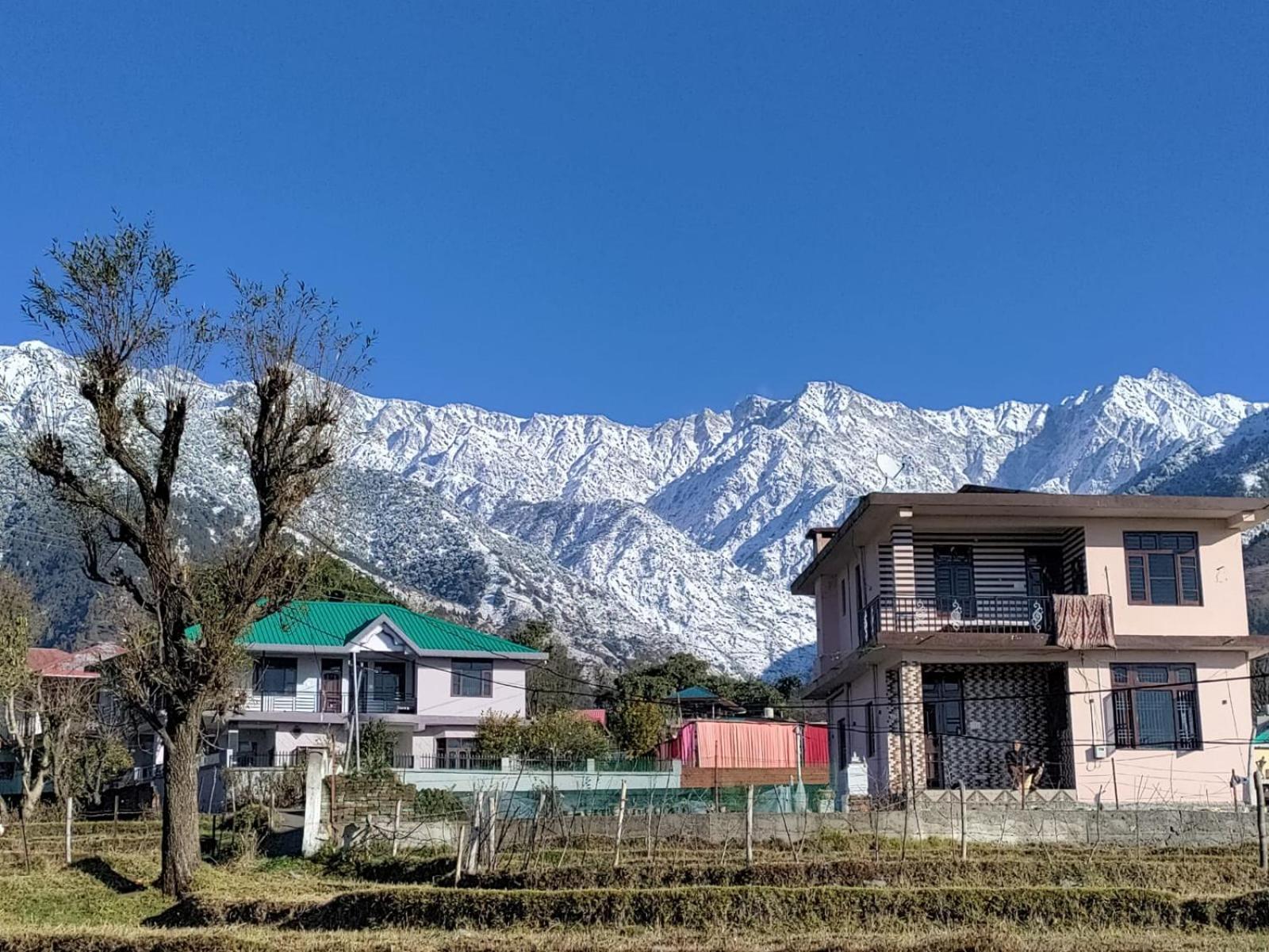 Homestay Palampur View Luaran gambar